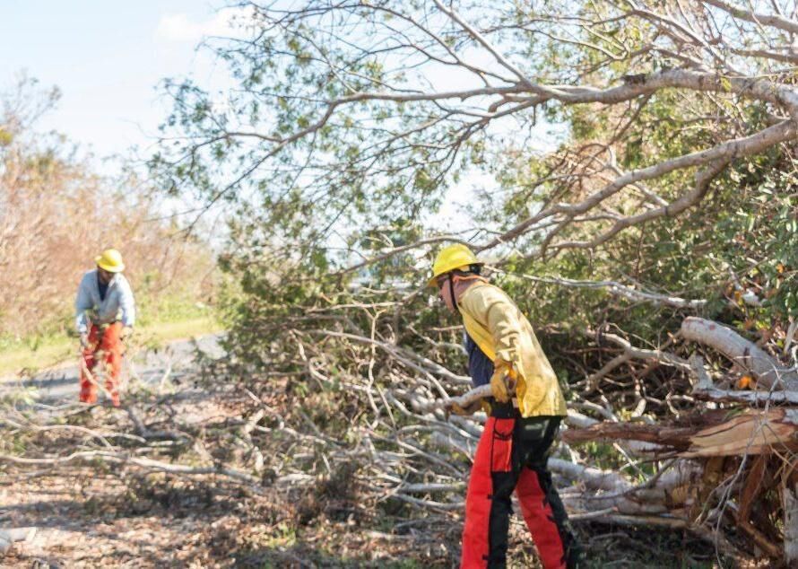 #28. Wear protective gear for cleanup